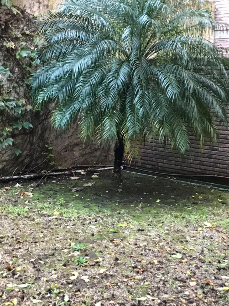 로자리오 Amplio Dpto Con Jardin En El Centro De La Ciudad 아파트 외부 사진